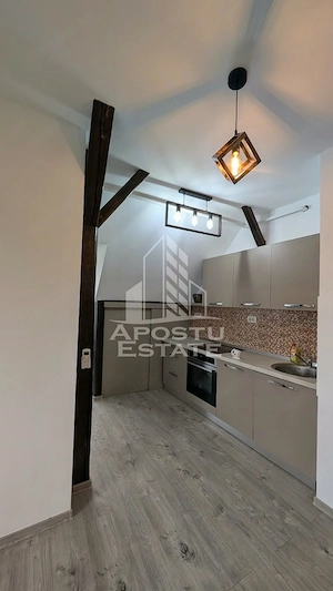 Apartament de inchiriat, 2 camere, Dumbravita la vila - imagine 3