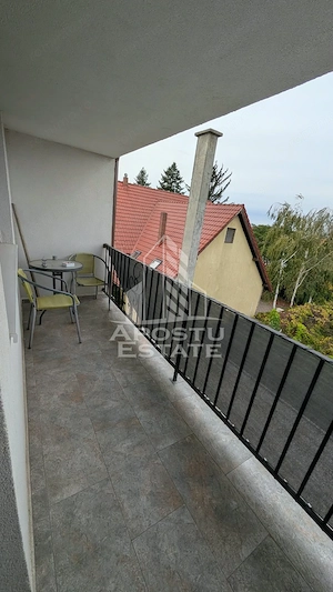 Apartament de inchiriat, 2 camere, Dumbravita la vila - imagine 4