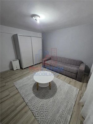 Apartament 1 Camera Baza 3 - Carrefour Felicia - imagine 2