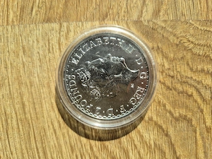 Monedă lingou din argint pur 31.1g=1oz