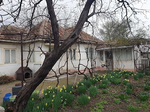 Casă locuibilă cu anexe și teren de 533 mp   Oreavul, Buzău - imagine 2