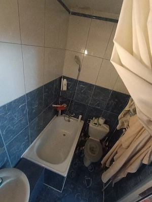 Apartament spatios cu o camera - imagine 5