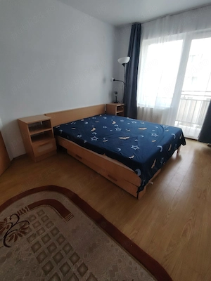 Inchiriere Apartament 2 camere semidecomandat, 54 mp, Sesu de Sus - imagine 6