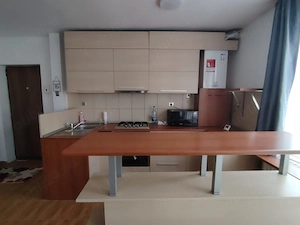 Inchiriere Apartament 2 camere semidecomandat, 54 mp, Sesu de Sus - imagine 5