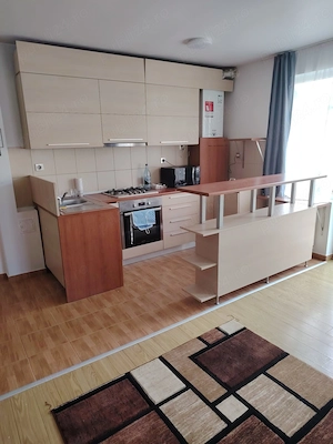 Inchiriere Apartament 2 camere semidecomandat, 54 mp, Sesu de Sus - imagine 4