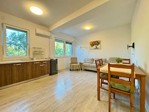 Apartament mobilat cu 1.5 camere | Dumbravita - imagine 4