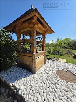 Casa vanzare la Podul Oltului - imagine 8