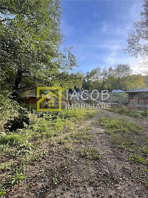 Casa cu teren, str. Slatinei, Luncani - Margineni - Bacau - imagine 10