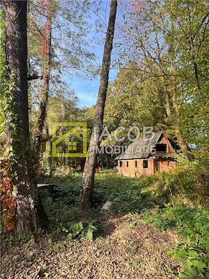 Casa cu teren, str. Slatinei, Luncani - Margineni - Bacau - imagine 11
