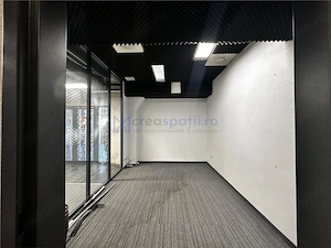 Spatii birouri de la 10mp la 200mp, langa Palas Mall, bd. D. Mangeron - imagine 2