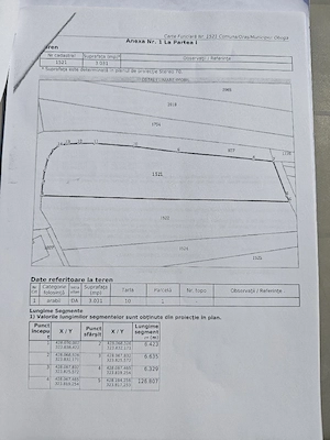 Teren intravilan 3.031 mp Oboga, Olt   ideal casă, afacere sau investiție - imagine 3