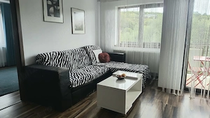 Inchiriere Apartament 2 camere decomandat, 37 mp, Stejarului - imagine 2
