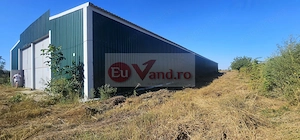 Hala 1.533 mp cu teren 5.000 mp – Vanatori, zona Maylo - imagine 16
