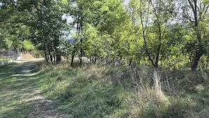 TEREN IN VLADESTI - NATURA, LINISTE SI DOAR 7 KM PANA IN CENTRUL RAMNICULUI - imagine 4