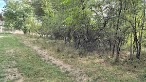 TEREN IN VLADESTI - NATURA, LINISTE SI DOAR 7 KM PANA IN CENTRUL RAMNICULUI - imagine 6