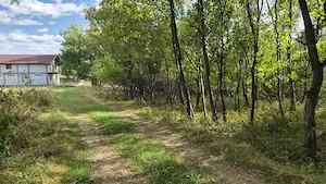 TEREN IN VLADESTI - NATURA, LINISTE SI DOAR 7 KM PANA IN CENTRUL RAMNICULUI - imagine 5