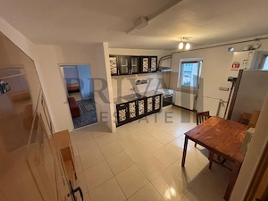 Apartament 2 camere, 53 mp, Lipovei, centrala, mobilat utilat, Lipovei - imagine 11