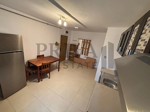 Apartament 2 camere, 53 mp, Lipovei, centrala, mobilat utilat, Lipovei - imagine 2