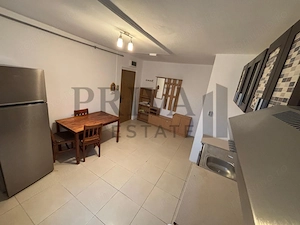 Apartament 2 camere, 53 mp, Lipovei, centrala, mobilat utilat, Lipovei - imagine 5