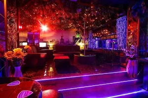 Swing club party Timișoara 