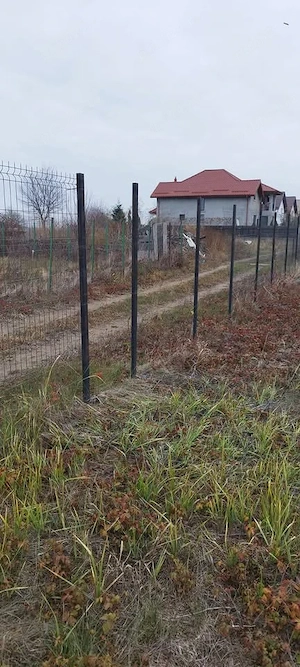 Teren in Pruni Magurele fix langa Bucuresti