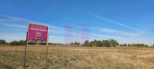 Teren intravilan 4500 mp, stradal intre Sabareni si Joita - imagine 4