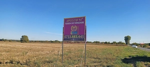 Teren intravilan 4500 mp, stradal intre Sabareni si Joita - imagine 3