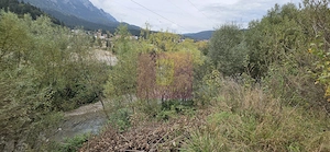 Cabana de vânzare în Bușteni – vedere spre Caraiman și 650 mp de teren - imagine 19