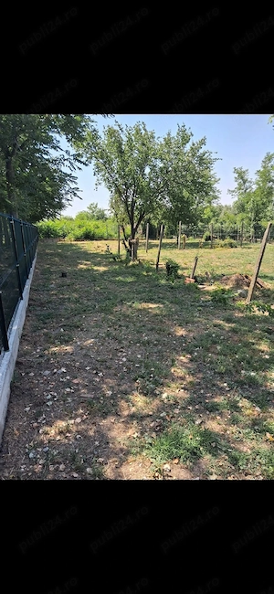 Casă renovată + 1500 mp teren în Orbeasca de Sus, poziție excelentă la 400 m de Penny Târg, gard BCA - imagine 5