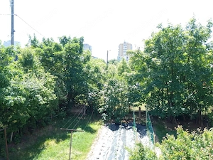 Apartament 2 camere, 39 mp, zona Bulevardul Decebal - imagine 6