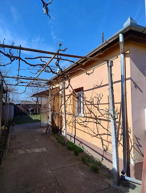 Proprietar vand casa in Bodrogu Nou,   - imagine 2