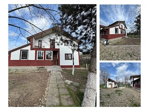 Proprietate cu 4.044 mp teren | Casă + depozit + anexe | Dragoesti - imagine 7