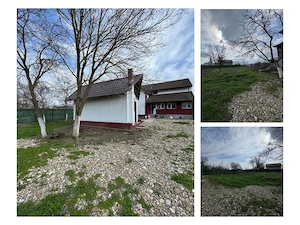 Proprietate cu 4.044 mp teren | Casă + depozit + anexe | Dragoesti - imagine 8