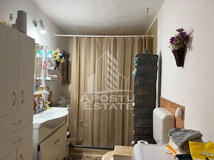 Casa individuala de vanzare Bd Dambovita Timisoara - imagine 8