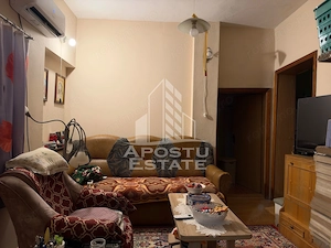 Casa individuala de vanzare Bd Dambovita Timisoara - imagine 11
