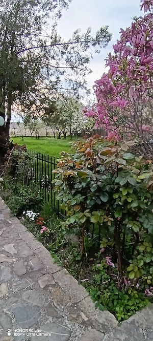 De vinzare casa  - imagine 6