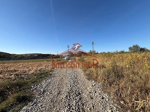Teren extravilan in zona in Bradu judet Sibiu - imagine 2