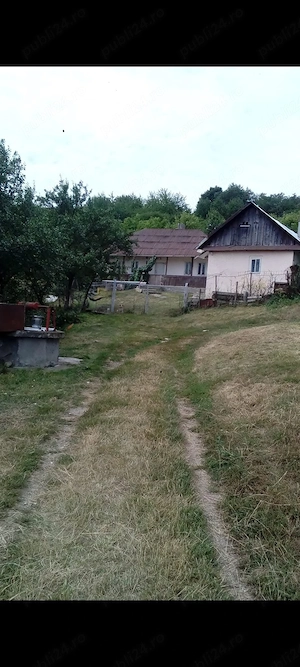 Gospodărie completa de închiriat  - imagine 3