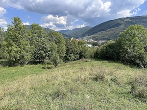 Teren valea doftanei - imagine 4