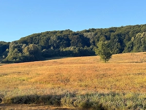 vând teren circa 20 hectare  - imagine 3