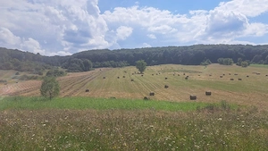 vând teren circa 20 hectare  - imagine 2