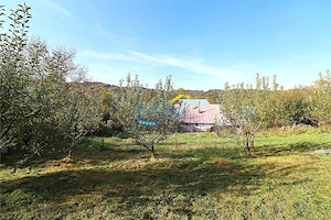 Teren Intravilan de vanzare, Provita de Jos