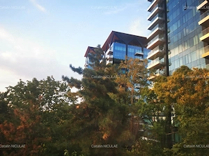 Apartament 2 camere Floreasca, in parc, langa One, pet friendly, 950  - imagine 7