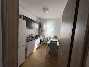 Apartament cu o camere, pet friendly, Calea Urseni - imagine 4