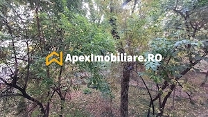 Apartament 2 camere de inchiriat Berceni București | ApexImobiliare.ro - imagine 14