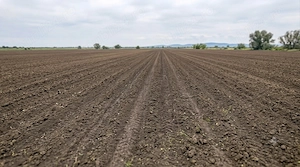 Teren de vânzare 25km de nodul rutier de legătură Tigveni Curtea de Argeș