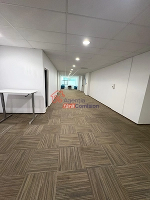 Spatii Birouri Clasa A, 12euro/mp, Pacurari - imagine 10
