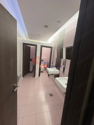 Spatii Birouri Clasa A, 12euro/mp, Pacurari - imagine 19