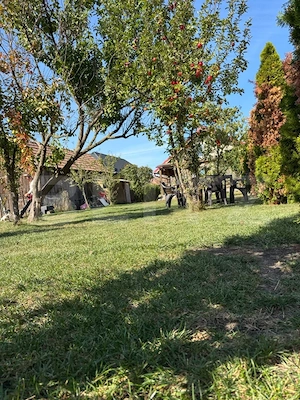 Casa pe un singur nivel Santana de Mures - imagine 14