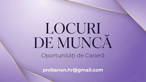 operator mașini (cuptor)   kern liebers